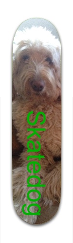 Design 55529 Skateboards, Longboards and Grip Tape Image