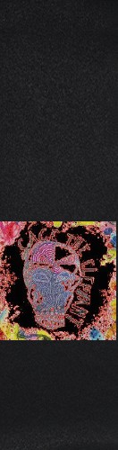 Design 555804 Skateboards, Longboards and Grip Tape Image