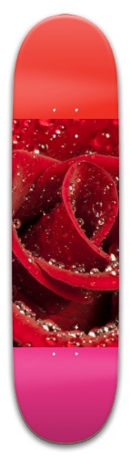 Design 556062 Skateboards, Longboards and Grip Tape
