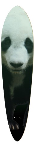 Panda Skateboards, Longboards and Grip Tape Image