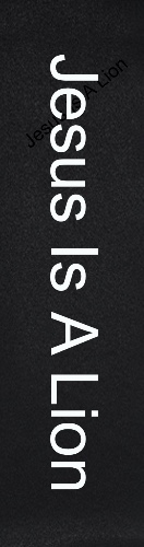 Design 557356 Skateboards, Longboards and Grip Tape Image