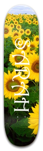 Design 557359 Skateboards, Longboards and Grip Tape Image