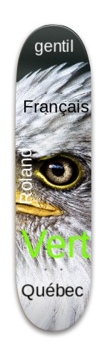 Design 557924 Skateboards, Longboards and Grip Tape Image