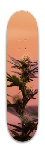 Weed skateboard Skateboards, Longboards and Grip Tape Image