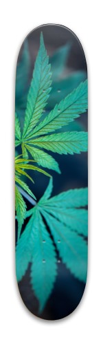 Weed skateboard Skateboards, Longboards and Grip Tape Image