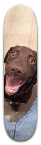 Design 558403 Skateboards, Longboards and Grip Tape Image