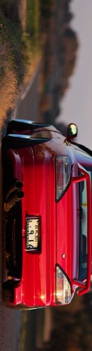 Design 559154 Skateboards, Longboards and Grip Tape Image