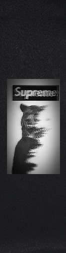 Design 560555 Skateboards, Longboards and Grip Tape Image