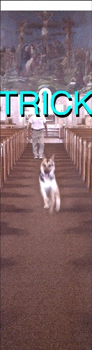 Design 562127 Skateboards, Longboards and Grip Tape Image