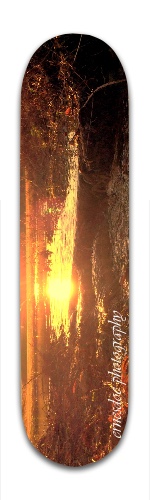 Design 56381 Skateboards, Longboards and Grip Tape Image