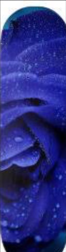 Design 563826 Skateboards, Longboards and Grip Tape Image