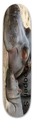 Design 564847 Skateboards, Longboards and Grip Tape Image