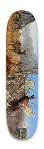 Design 565294 Skateboards, Longboards and Grip Tape
