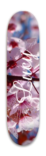 Design 566284 Skateboards, Longboards and Grip Tape Image