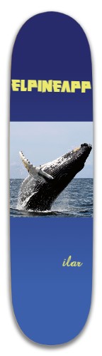 Design 566506 Skateboards, Longboards and Grip Tape Image