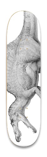 Design 568182 Skateboards, Longboards and Grip Tape Image