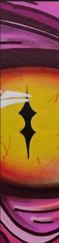 Design 568305 Skateboards, Longboards and Grip Tape