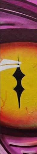 Design 568323 Skateboards, Longboards and Grip Tape