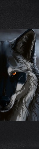 Design 569309 Skateboards, Longboards and Grip Tape Image