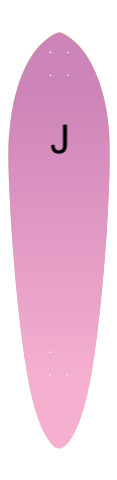 Design 569806 Skateboards, Longboards and Grip Tape