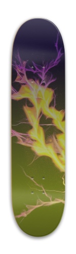 Design 569819