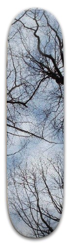 Forest Skateboards, Longboards and Grip Tape Image