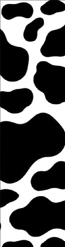 Design 572587 Skateboards, Longboards and Grip Tape Image