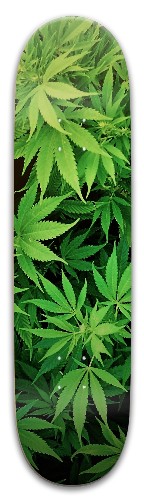 Design 573382 Skateboards, Longboards and Grip Tape