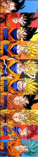 Goku evolution