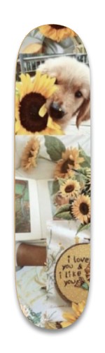 Design 574096 Skateboards, Longboards and Grip Tape