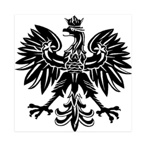 polska Skateboards, Longboards and Grip Tape Image