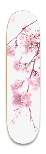 Design 575861