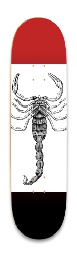 Design 576506 Skateboards, Longboards and Grip Tape Image