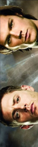 Design 576699 Skateboards, Longboards and Grip Tape Image