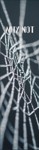 Design 577654 Skateboards, Longboards and Grip Tape Image