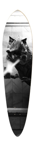 Design 577760 Skateboards, Longboards and Grip Tape