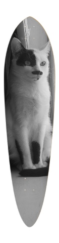 Design 577874 Skateboards, Longboards and Grip Tape
