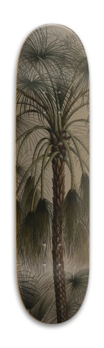 Imaggo1
