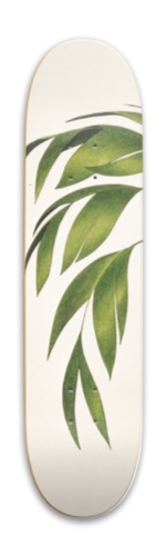 Design 578697 Skateboards, Longboards and Grip Tape