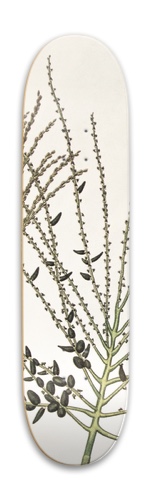 Design 578699