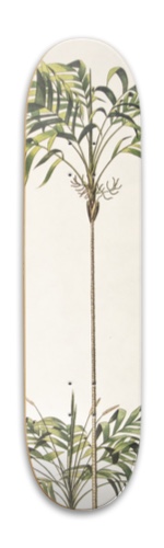 Design 578701