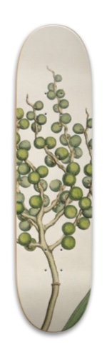 Design 578707
