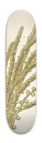 Design 578709