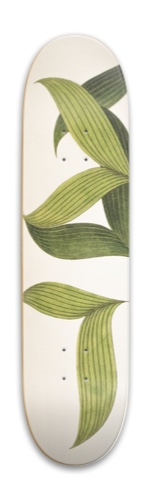 Design 578711