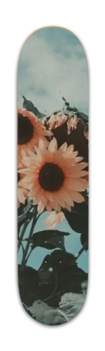 Good vibes Skateboards, Longboards and Grip Tape Image