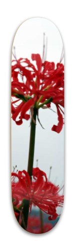 Design 579298