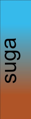 Design 581806 Skateboards, Longboards and Grip Tape