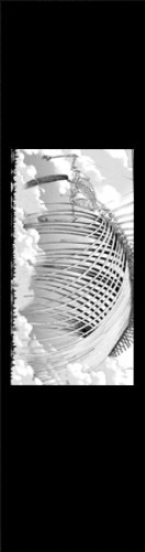 Design 582988 Skateboards, Longboards and Grip Tape Image