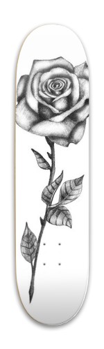 Design 583977 Skateboards, Longboards and Grip Tape Image