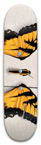 Design 584151 Skateboards, Longboards and Grip Tape Image